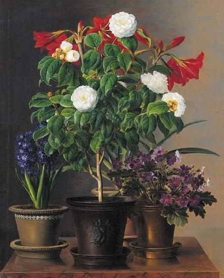 Johan Laurentz Jensen Camelias, amaryllis, hyacinth and violets in ornamental pots on a marble ledge oil painting image